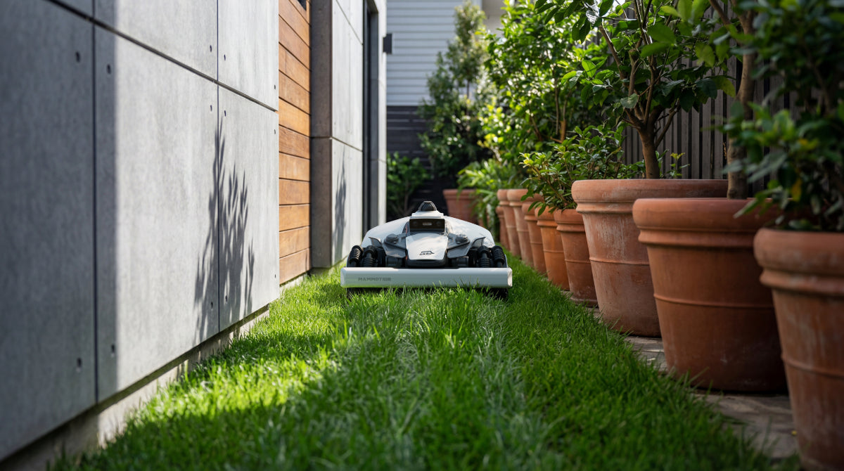 LUBA mini 2 AWD - Perimeter Wire Free Robot Lawn Mower