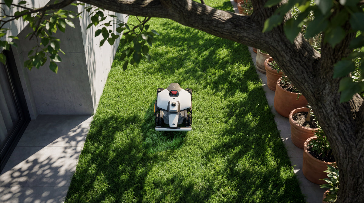 LUBA mini 2 AWD - Perimeter Wire Free Robot Lawn Mower